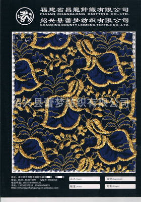 【大量現(xiàn)貨供應(yīng)新款錦綸壓紗蕾絲面料】?jī)r(jià)格,廠家,圖片,花邊類,紹興縣蕾夢(mèng)紡織-